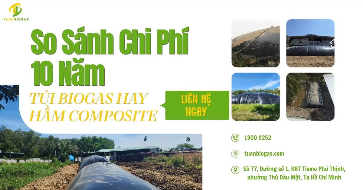 Túi Biogas, Hầm Xây Hay Hầm Composite: So Sánh Chi Phí 10 Năm Cho Hộ Chăn Nuôi